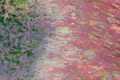 皇马VS西班牙人：西甲联赛关键战前瞻，维尼修斯回归锋线对决帕科